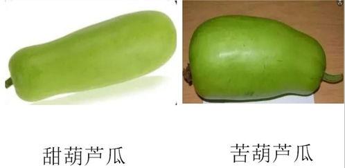 淄博桓台吃瓜爆料